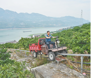 果园装轨道，上下山坡变轻松