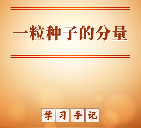 學習手記｜一粒種子的分量