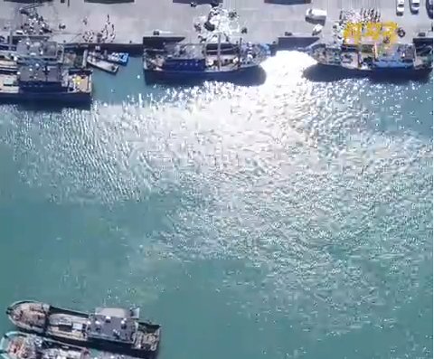 时习之丨向海图强 总书记心系这片“蓝”