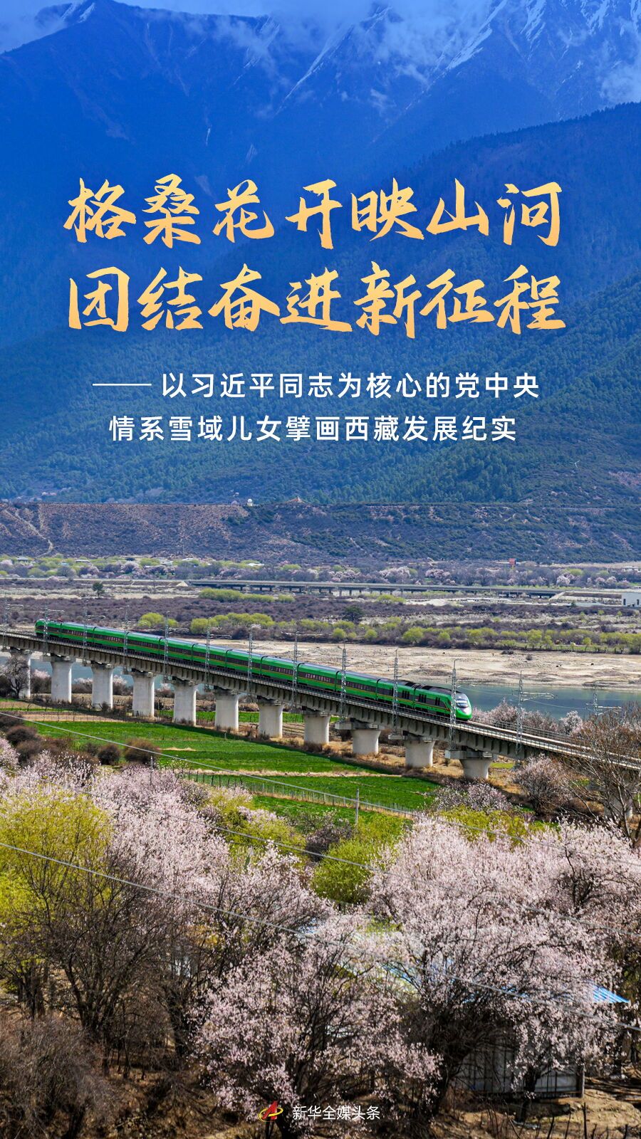 以习近平同志为核心的党中央情系雪域儿女擘画西藏发展纪实
