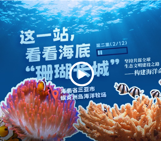 幸会中国 | 守护珊瑚之美，共筑“海洋命运共同体”