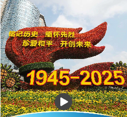 一习话丨“坚持党的全面领导，是国家和民族兴旺发达的根本所在”