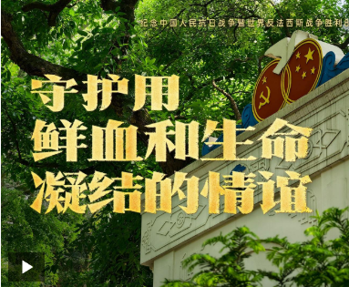 守护用鲜血和生命凝结的情谊