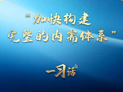 一习话丨“加快构建完整的内需体系”