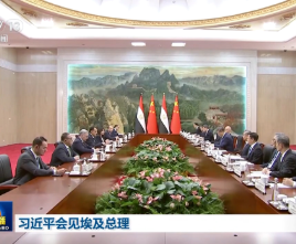 习近平会见埃及总理马德布利