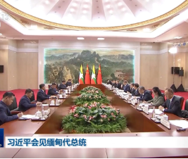 习近平会见缅甸代总统敏昂莱