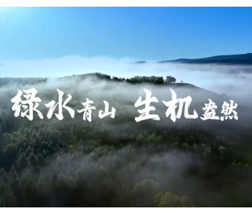 学习·知行丨两山“回响”·4269平方公里，习近平关切这个绿色“国宝”