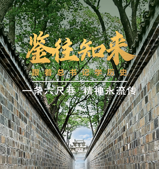 鉴往知来，跟着总书记学历史丨一条六尺巷，精神永流传