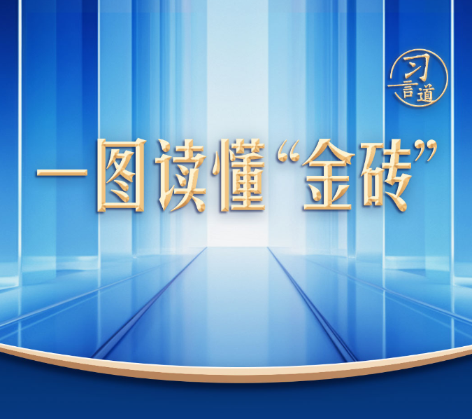 【众行致远】习言道｜一图读懂“金砖”从何而来