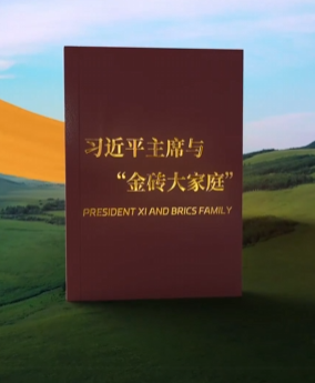 视频画报｜习近平主席与“金砖大家庭”