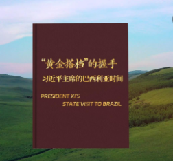 视频画报｜“黄金搭档”的握手——习近平主席的巴西利亚时间