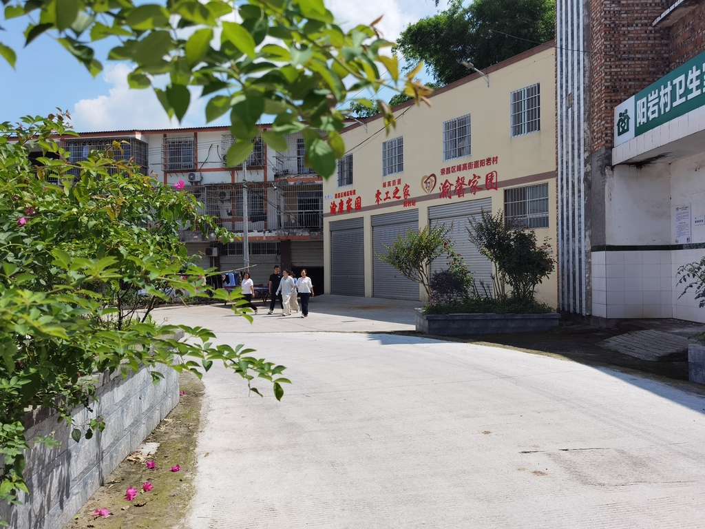用  两栏  IMG_20250529_105623