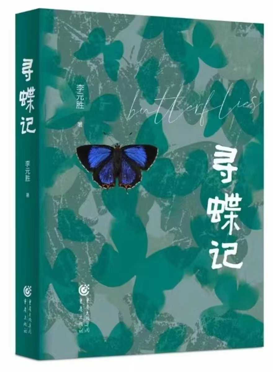 寻蝶记