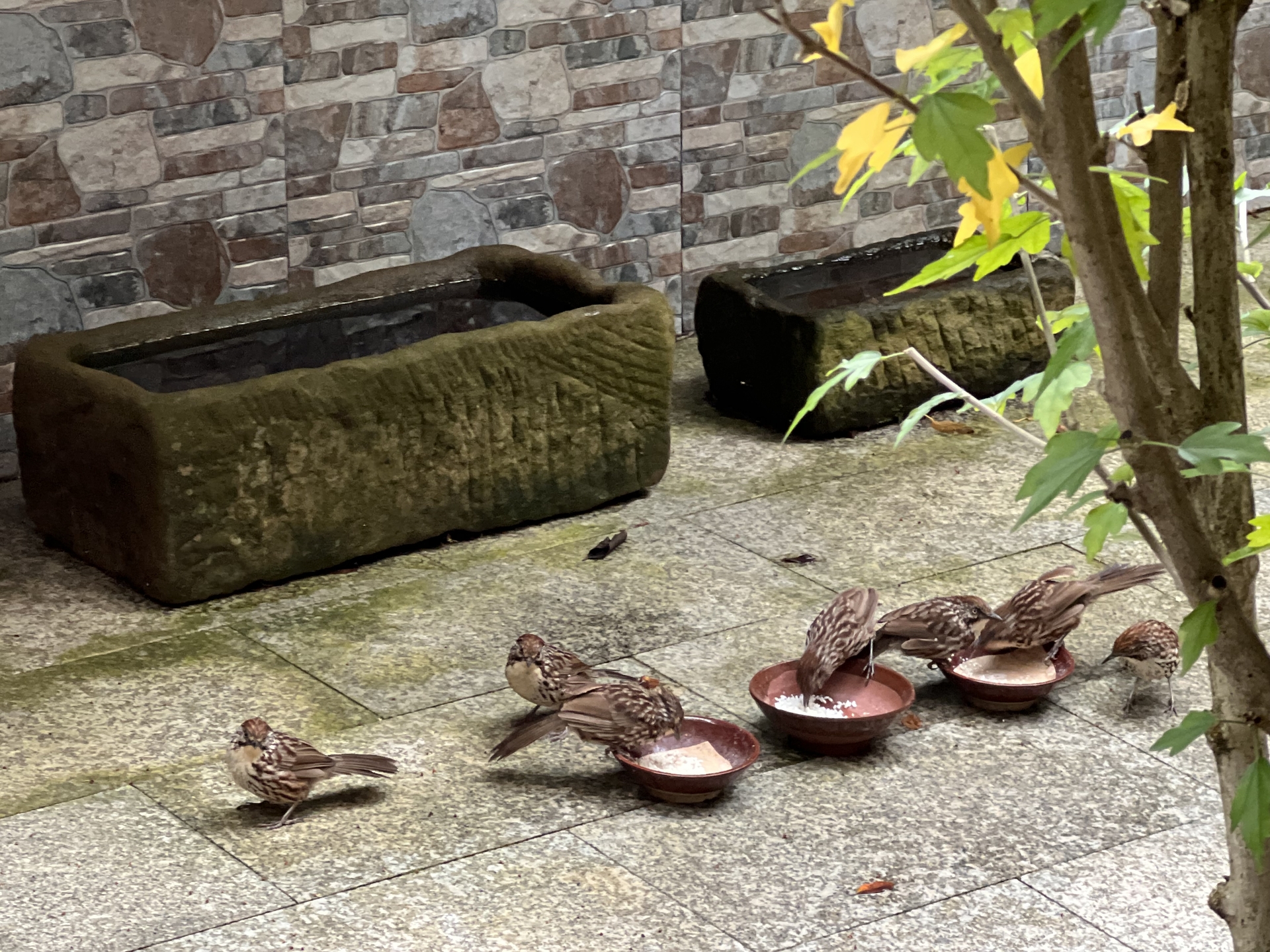 463bf3d861dca71ce37d82611841baad