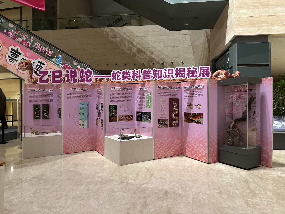 微信图片_20250206092142.jpg
