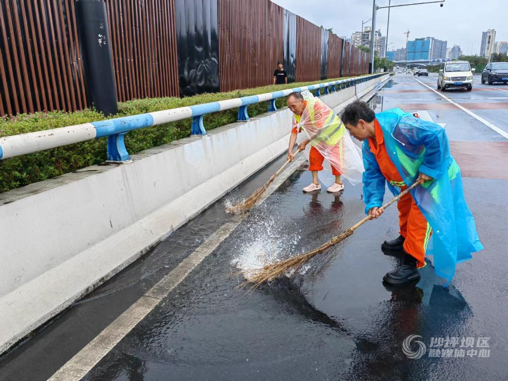 区环卫处新凤中路