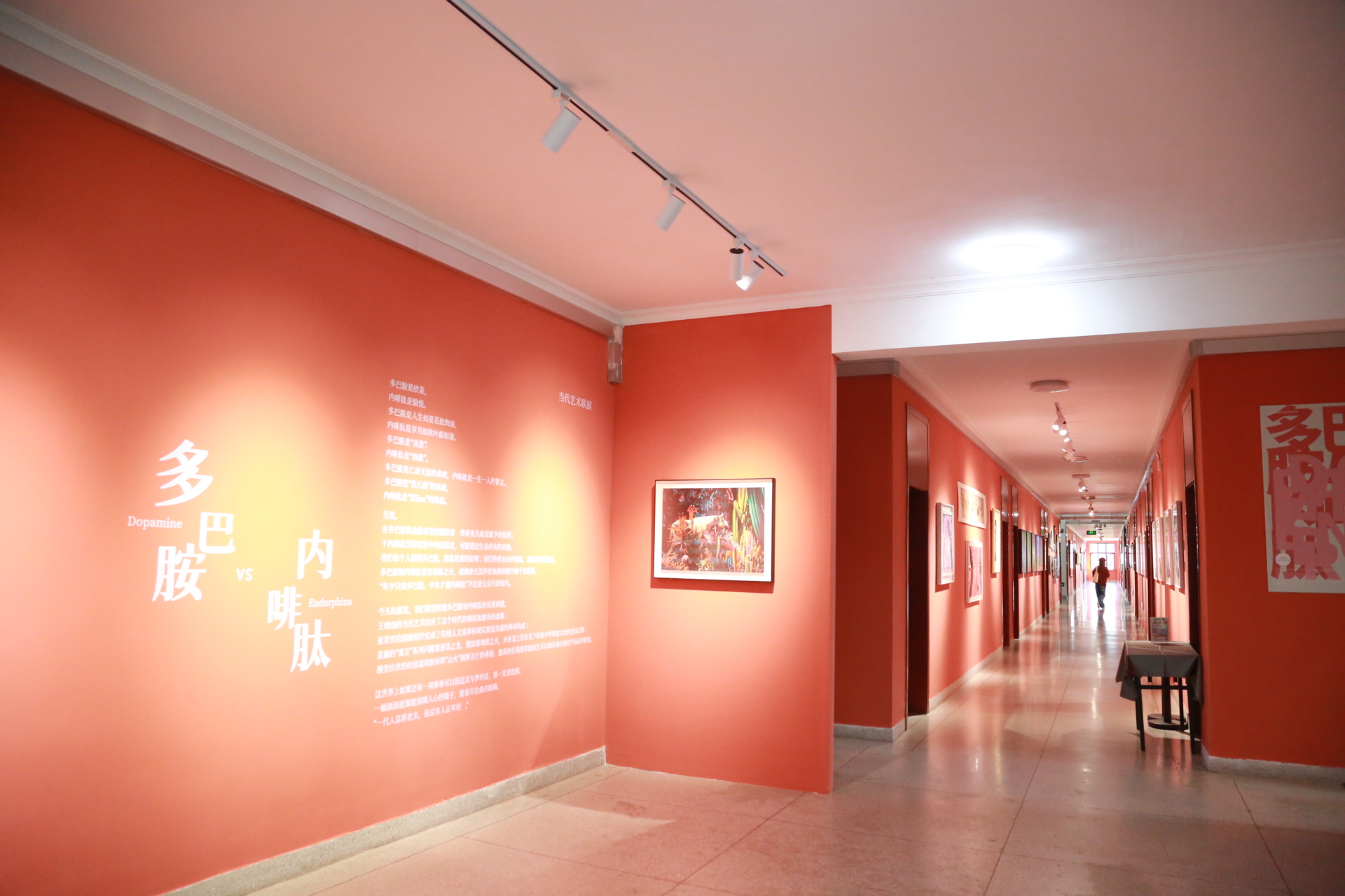 d5976ed9993e47559d34f0f22a59afc8