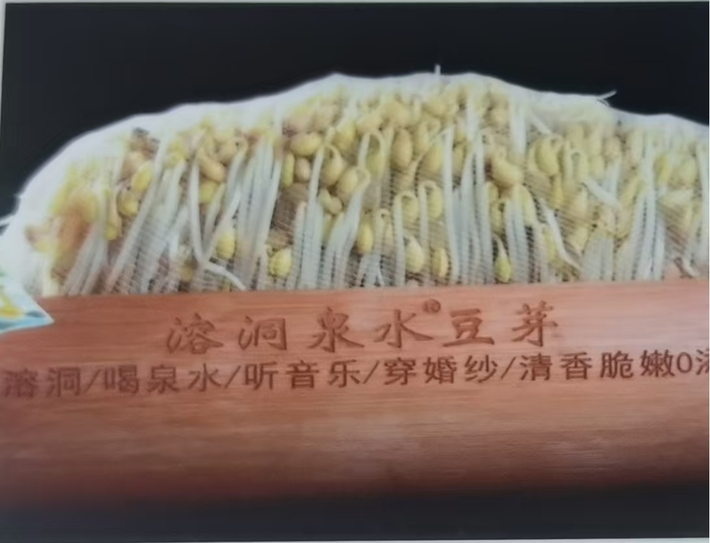 沙坪坝三款特色农产品参评巴渝“土特产”名优百品3