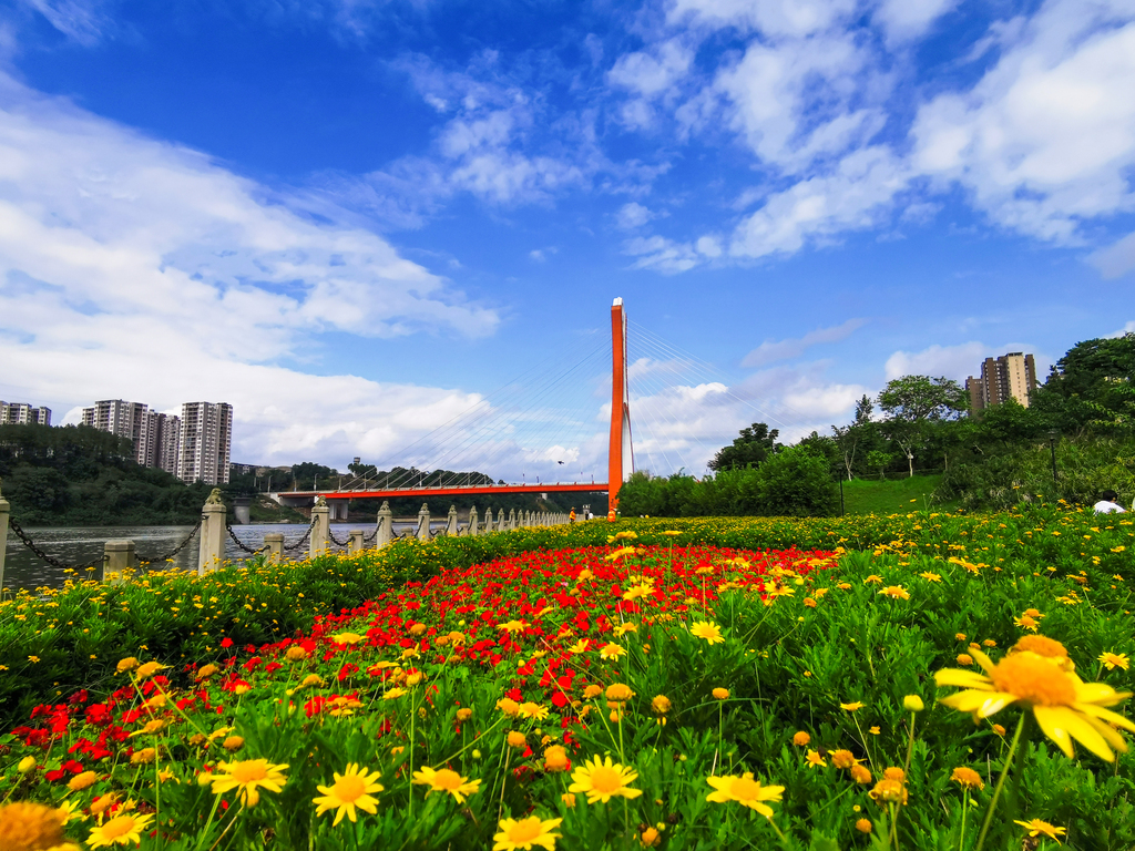 《滨江公园》曾广有 摄IMG_20200628_165242