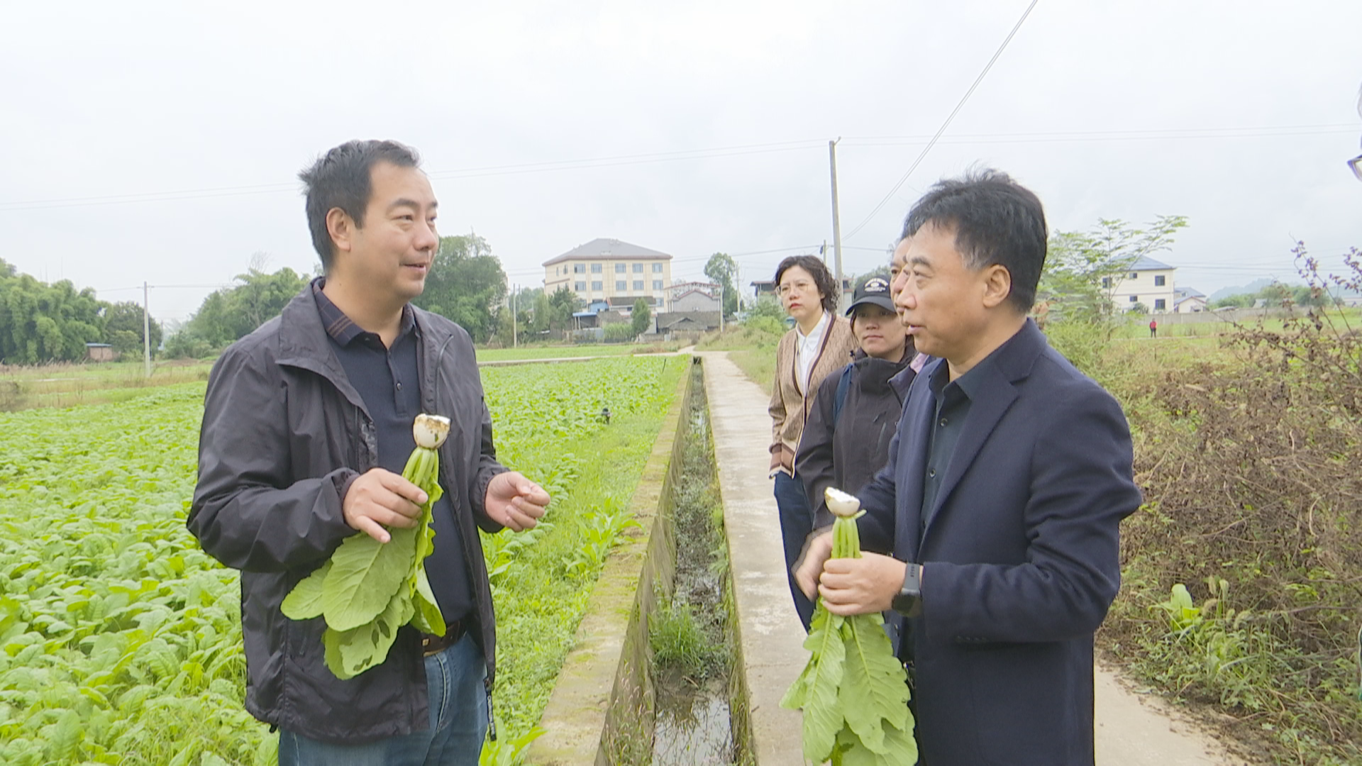 微信图片_20251030152049_150_1114