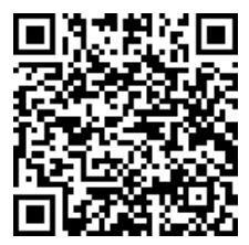 20241121204029896261