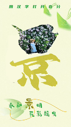 5.gif