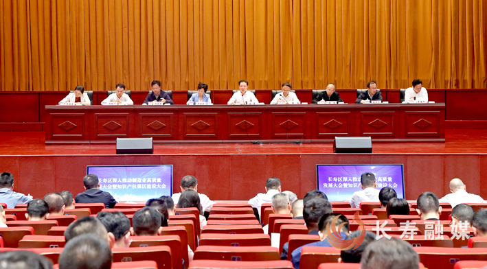 长寿区深入推动制造业高质量发展暨知识产权强区建设大会 (2)