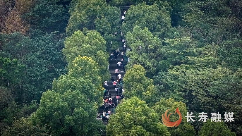重庆市十三届全民健身运动会登山比赛10+张颂东