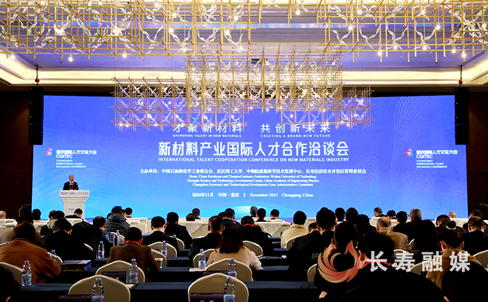 第二届“汇智成渝”新材料产业发展专场活动 (3)