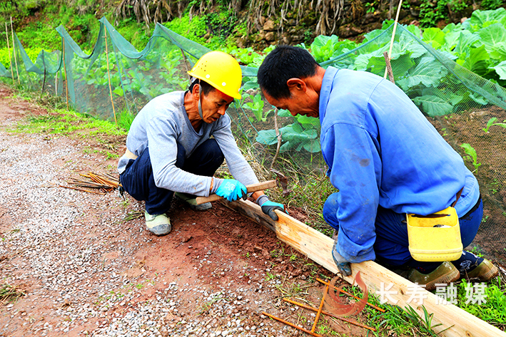 龙河镇长安村泥巴路变成了水泥路 (3)