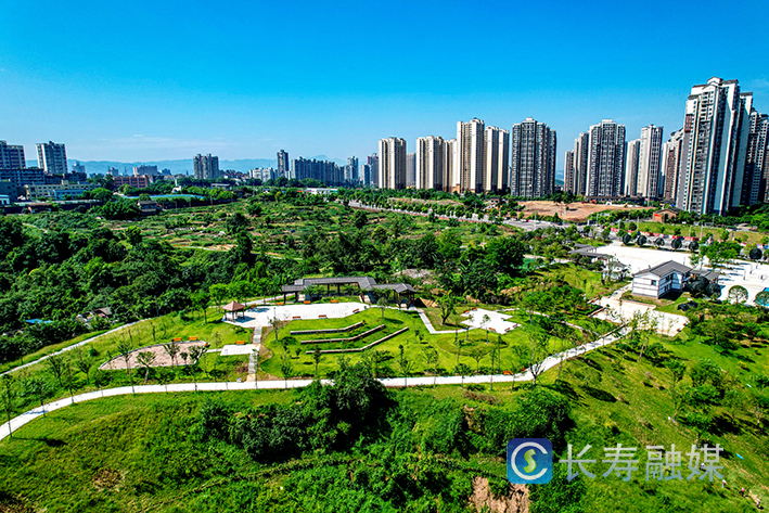 区城市管理局以“绿”惠民加速打造“城市公园” (1)