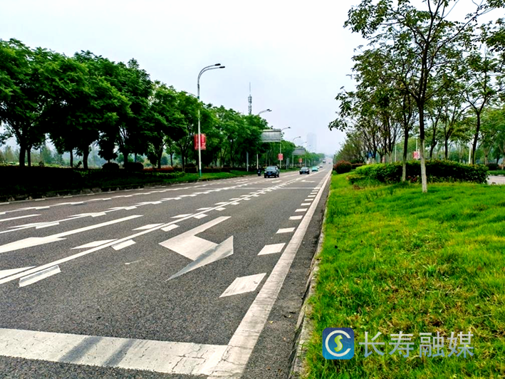 长寿区北城大道被命名为重庆市园林式市街 (2)
