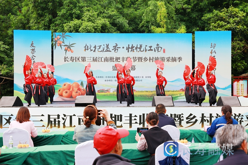 第三届江南枇杷丰收节暨乡村旅游采摘季开幕1