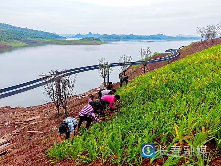 云集大胜村美丽移民家园湖滨工程稳步推进 (1)