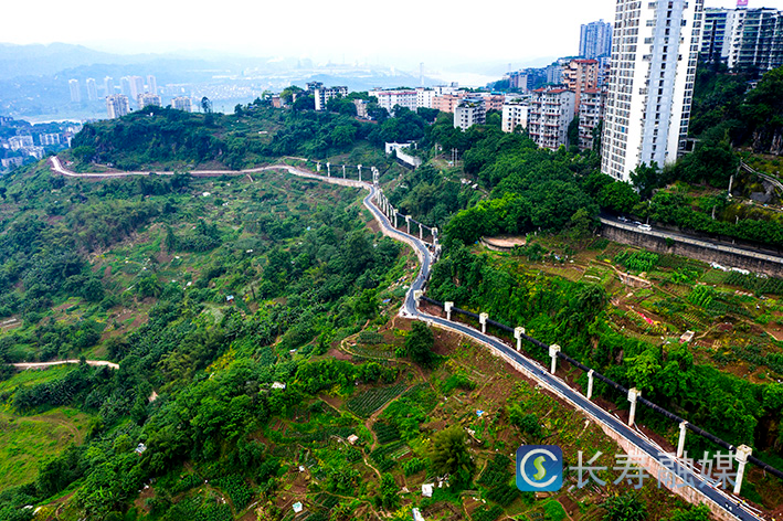 滨江长寿谷观光步道加紧施工 (4)