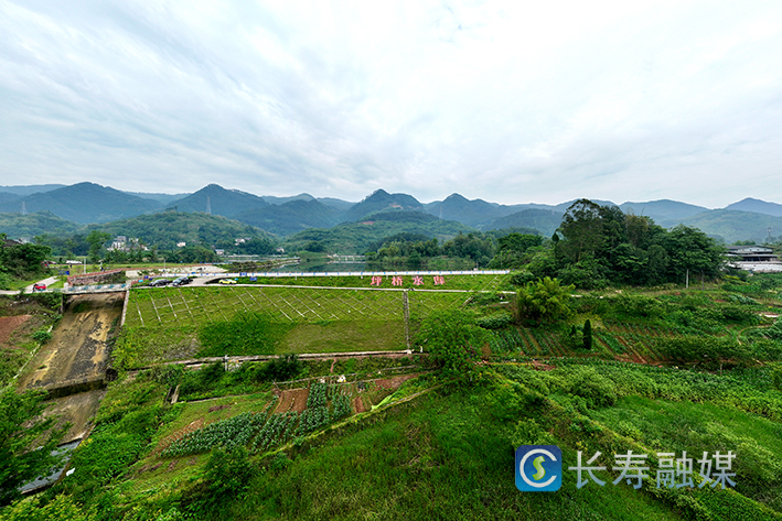 葛兰镇坪桥水库渠系维护工地 (3)