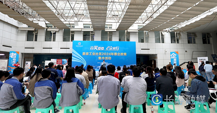 晏家工业社区举行2024年惠企政策集市活动 (3)