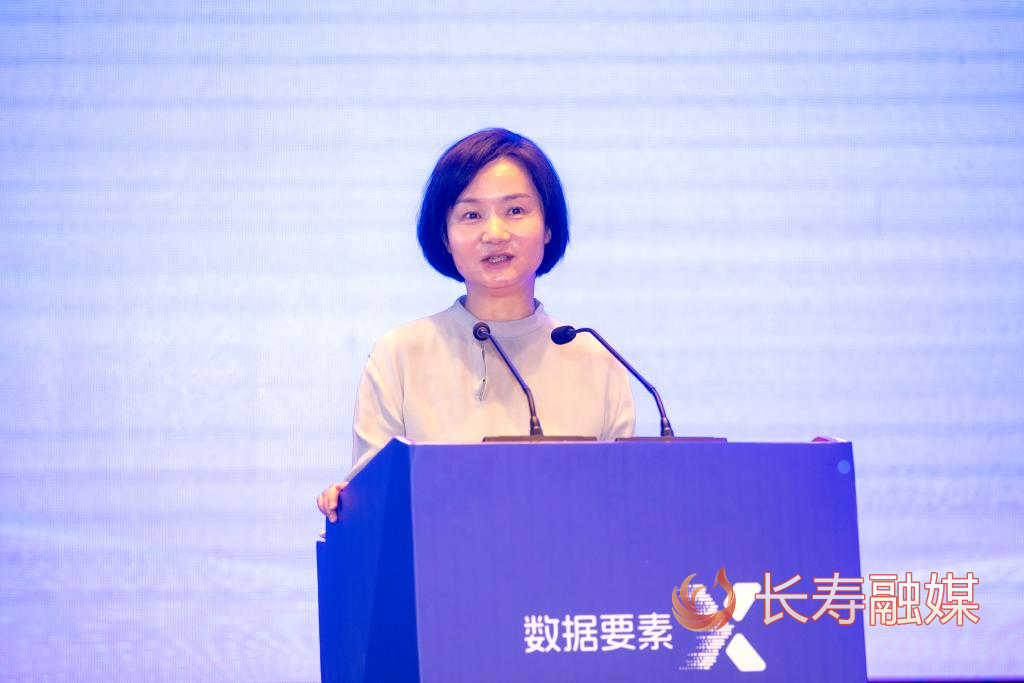 2024年“数据要素×”大赛重庆分赛启动 (4)