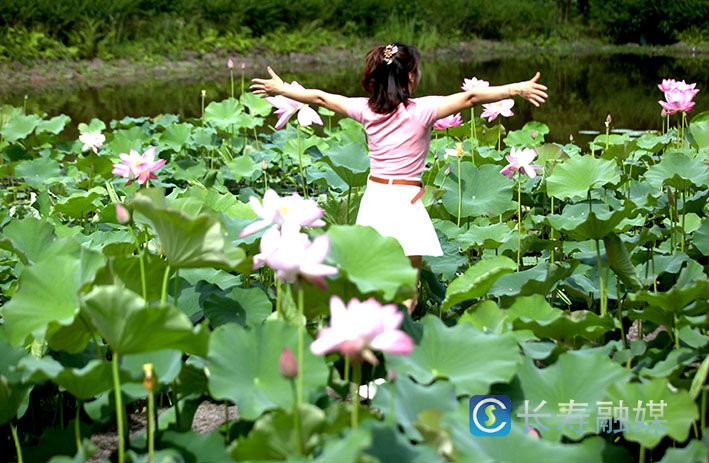 长寿慢城荷花开 (2)