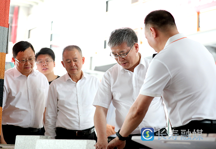 市政协副主席王新强来长调研园区开发区“三攻坚一盘活”改革 (3)