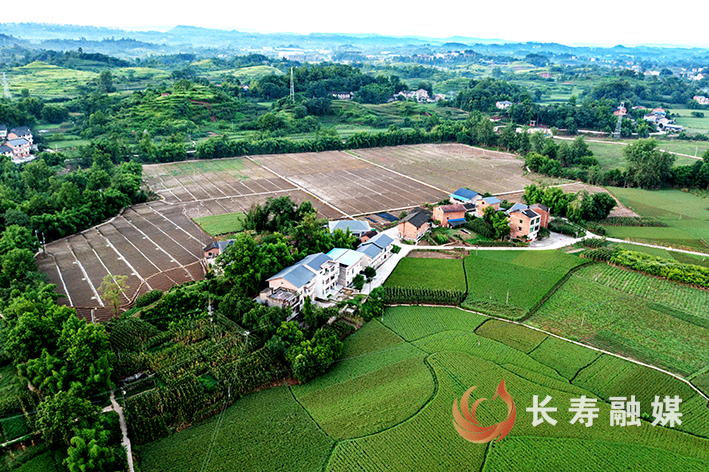 洪水退去后云台乡村重新焕发生机 (4)