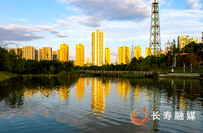 夏日城市别样美+袁志龙 (1)