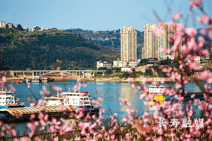 长寿已建成“两岸青山·千里林带”4