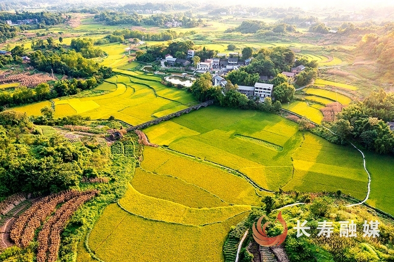 李炎+新市街道新市村 (1)