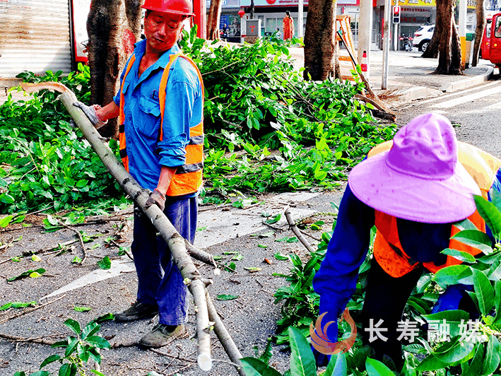 街角忙碌的“城市美容师” (3)