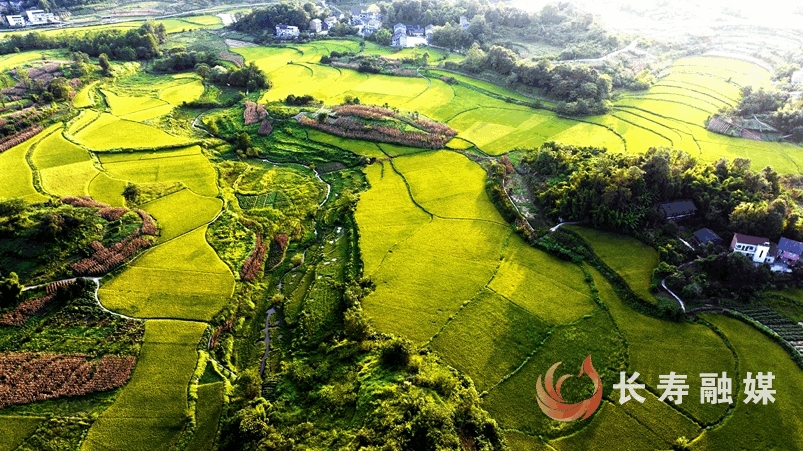 袁志龙+渡舟保丰村
