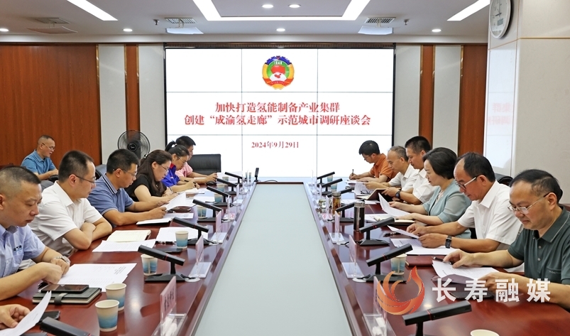 区政协召开“加快打造氢能制备产业集群,创建‘成渝氢走廊’示范城市”调研座谈会1