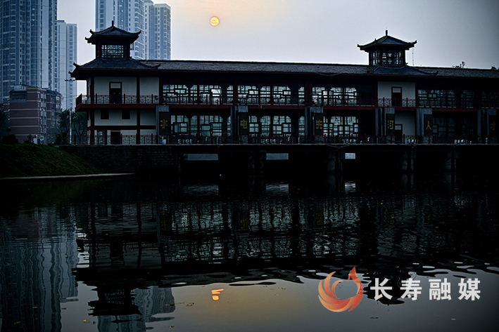 冬日温暖沐浴阳张颂东 (1)