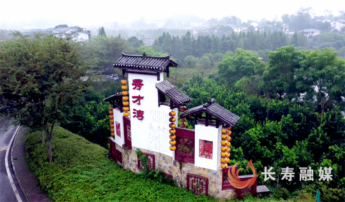 长寿乡村治理经验综述-保合村