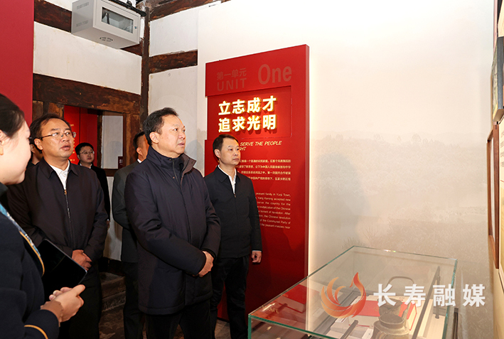 江夏调研文旅产业发展 (2)